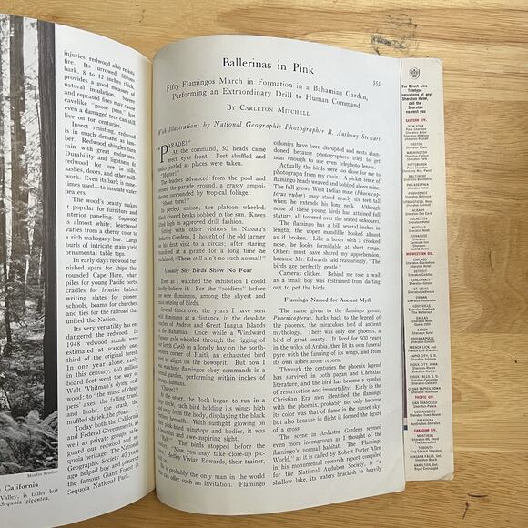 Vintage National Geographic October 1957 Scottish Poets Ballerinas Andalusia - Picture 5 of 8